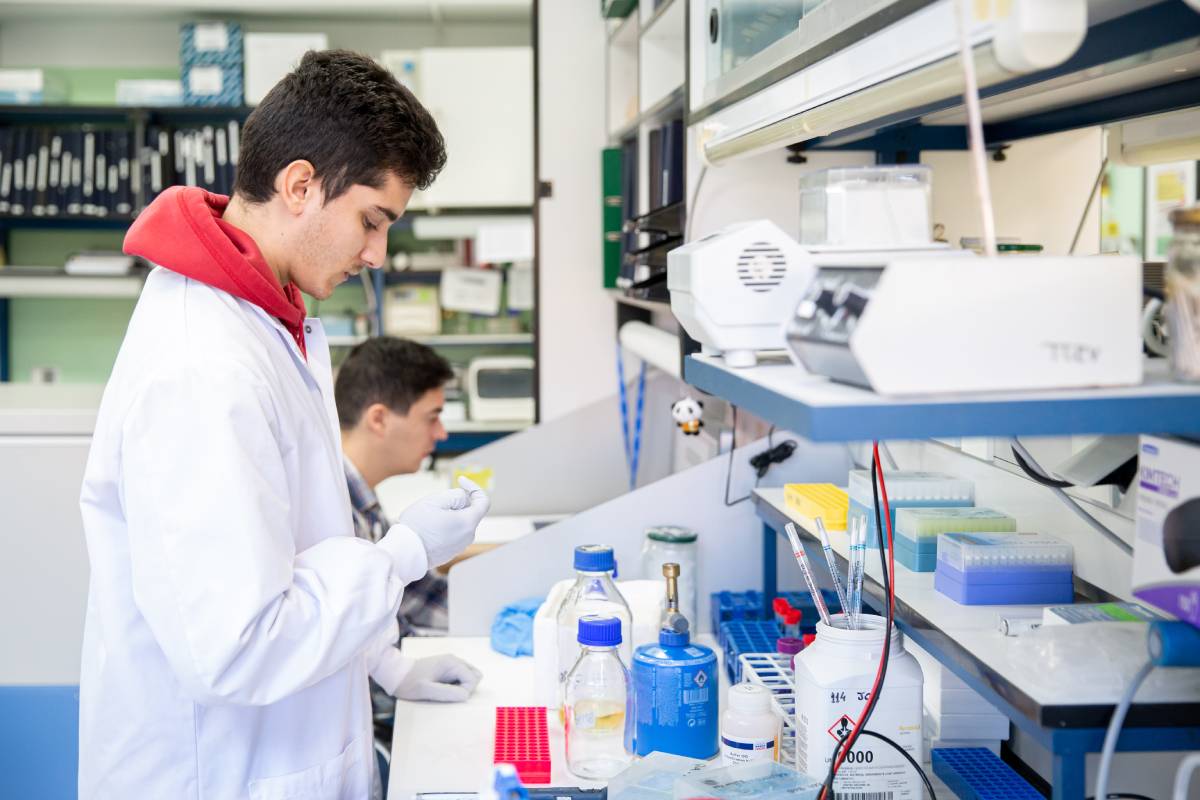 Dos investigadores trabajan en el laboratorio de coronavirus del Centro Nacional de Biotecnologa (CNB) del CSIC (Foto: CSIC).